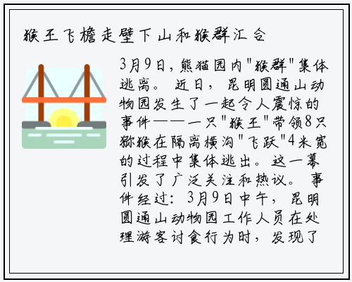 猴王飞檐走壁下山和猴群汇合