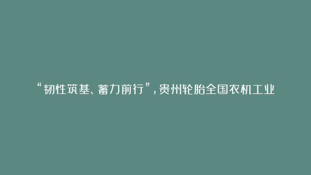 “韧性筑基、蓄力前行”，贵州轮胎全国农机工业工作会议圆满成功#贵州轮胎#现…