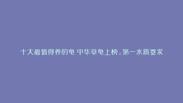 十大最值得养的龟：中华草龟上榜，第一水质要求高