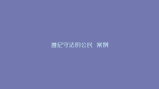 遵纪守法的公民 案例