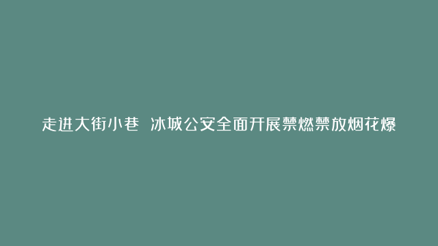 走进大街小巷 冰城公安全面开展禁燃禁放烟花爆竹宣传