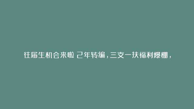 往届生机会来啦！2年转编，三支一扶福利爆棚，你还在等什么？