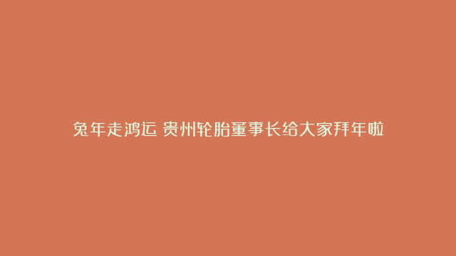 兔年走鸿运！贵州轮胎董事长给大家拜年啦