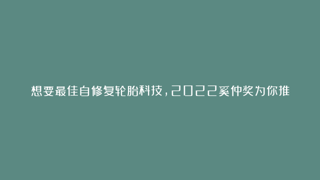 想要最佳自修复轮胎科技，2022奚仲奖为你推荐！点击评论区投票 #奚仲奖 #推荐