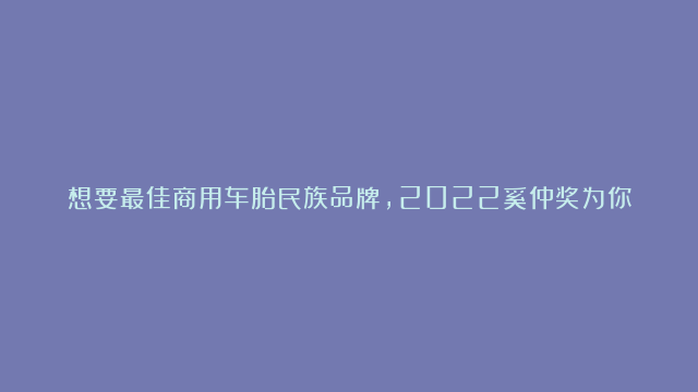 想要最佳商用车胎民族品牌，2022奚仲奖为你推荐！点击评论区投票#奚仲奖#推荐