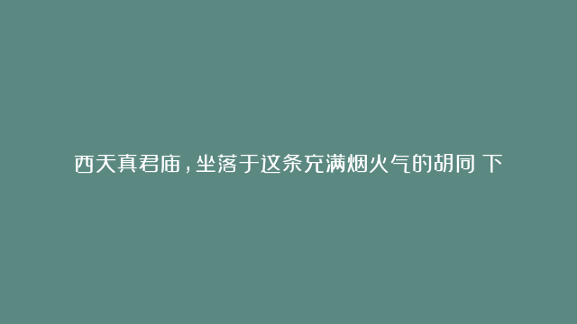 西天真君庙，坐落于这条充满烟火气的胡同（下）#另一面的海南#海南海口#西天…