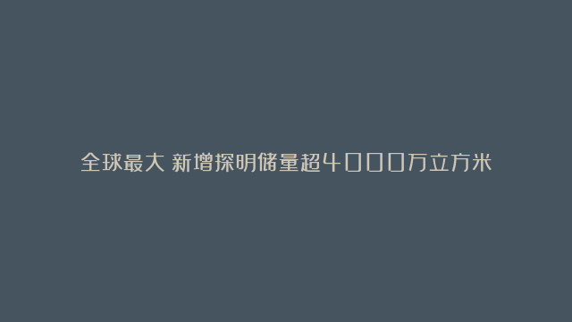 全球最大！新增探明储量超4000万立方米