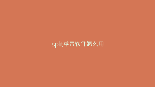 split苹果软件怎么用