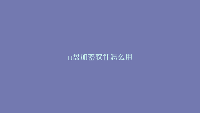 u盘加密软件怎么用