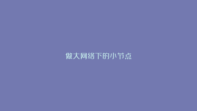 做大网络下的小节点