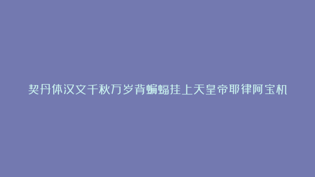 契丹体汉文千秋万岁背蝙蝠挂上天皇帝耶律阿宝机挂钱