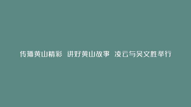 传播黄山精彩 讲好黄山故事 凌云与吴文胜举行工作会谈