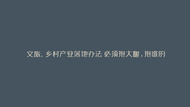 ​文旅、乡村产业落地办法（必须抱大腿，抱谁的大腿，怎么抱都在这了）