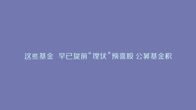 这些基金 早已提前“埋伏”预喜股！公募基金积极布局