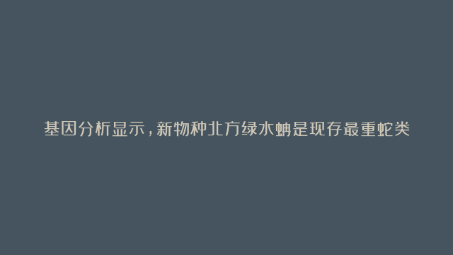 基因分析显示，新物种北方绿水蚺是现存最重蛇类，体重超250公斤