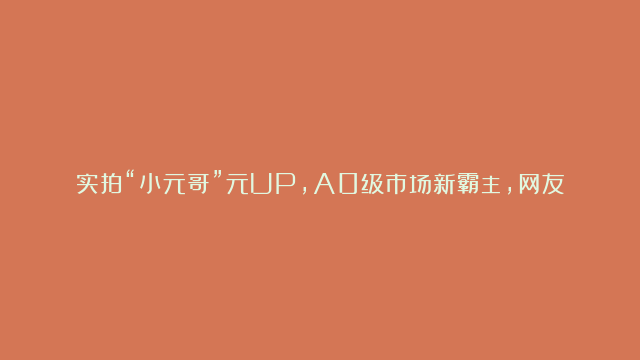 实拍“小元哥”元UP，A0级市场新霸主，网友：爆款制造机！#A0级#比亚迪…