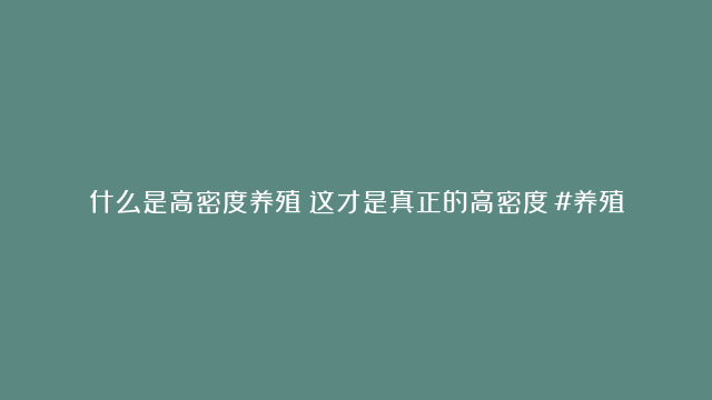 什么是高密度养殖？这才是真正的高密度！#养殖 #高密度养殖 #养虾