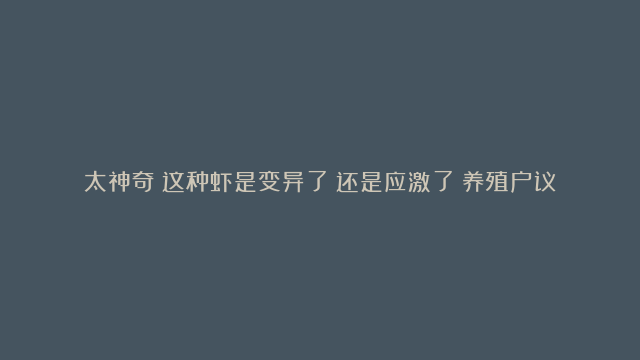 太神奇！这种虾是变异了？还是应激了？养殖户议论纷纷！#对虾养殖 #养虾 #…