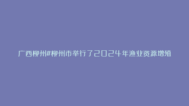 广西柳州#柳州市举行了2024年渔业资源增殖放流活动，3.8万尾鱼苗投入柳江河