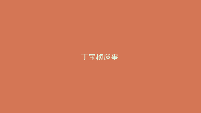 丁宝桢遗事（）