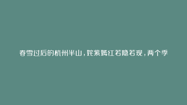 春雪过后的杭州半山，姹紫嫣红若隐若现，两个季节仿佛在这里交融