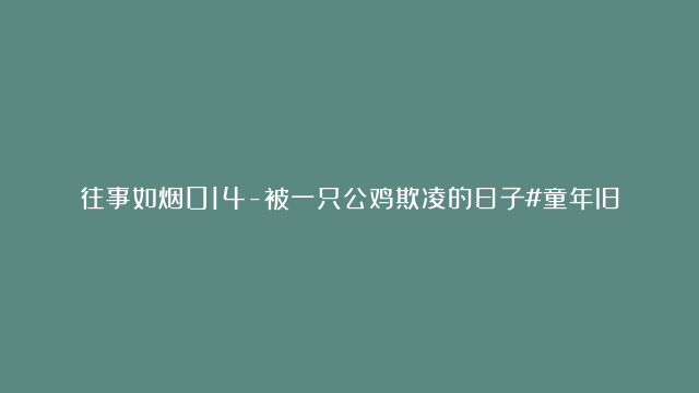 往事如烟014-被一只公鸡欺凌的日子#童年旧事