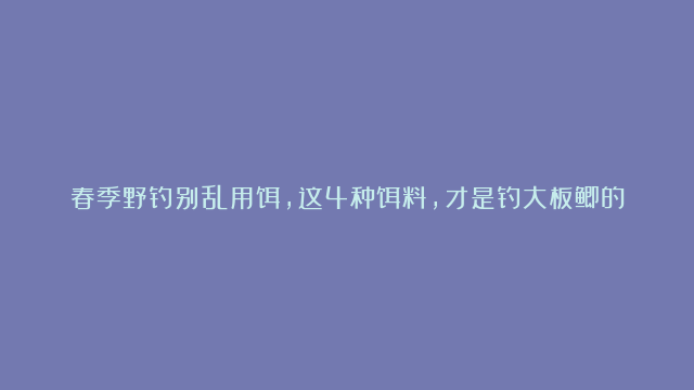 春季野钓别乱用饵，这4种饵料，才是钓大板鲫的首选