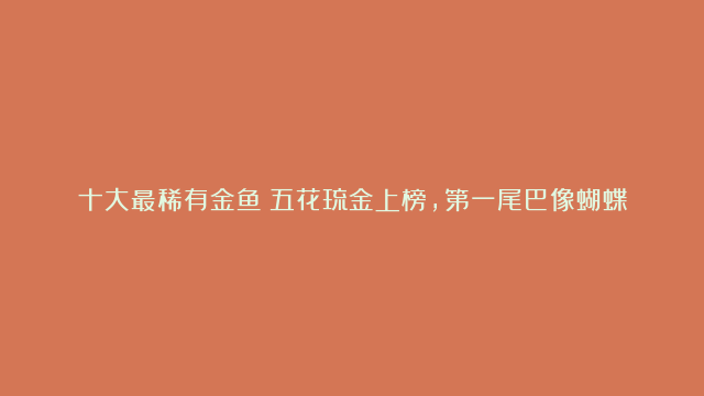 十大最稀有金鱼：五花琉金上榜，第一尾巴像蝴蝶