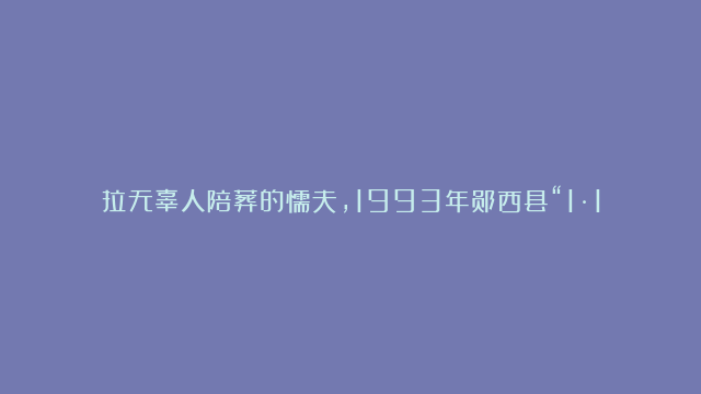 拉无辜人陪葬的懦夫，1993年郧西县“1·1”特大爆炸案侦破始末