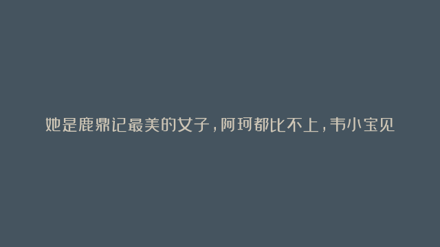 她是鹿鼎记最美的女子，阿珂都比不上，韦小宝见到她险些失控