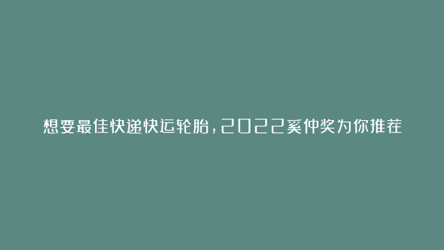 想要最佳快递快运轮胎，2022奚仲奖为你推荐！点击评论区投票 #奚仲奖#推荐