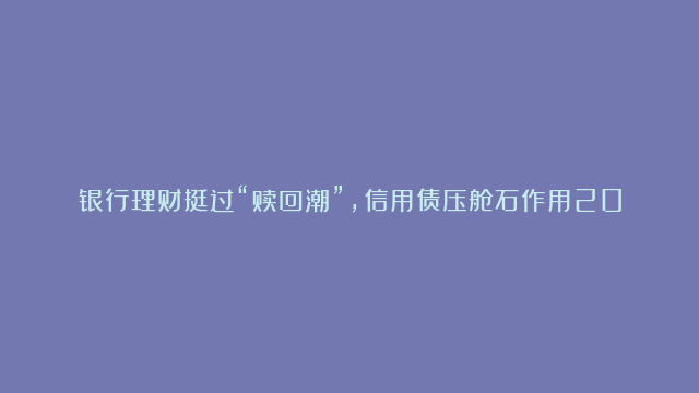 银行理财挺过“赎回潮”，信用债压舱石作用2024年将进一步提升