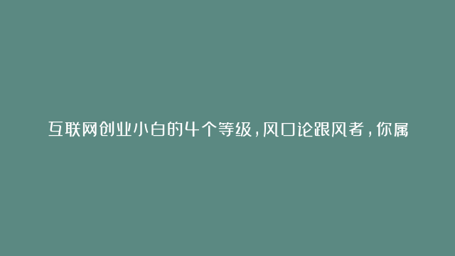 互联网创业小白的4个等级，风口论跟风者，你属于哪个等级？