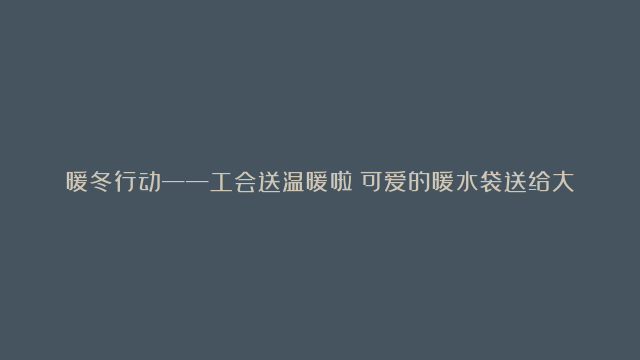 暖冬行动——工会送温暖啦！可爱的暖水袋送给大家#放假啦 #送温暖 #暖冬行动