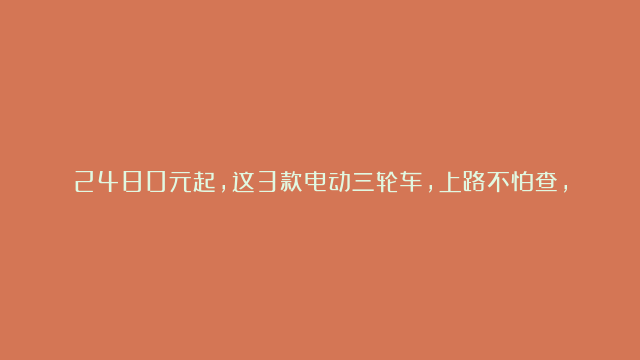 2480元起，这3款电动三轮车，上路不怕查，适合老年人接娃、代步