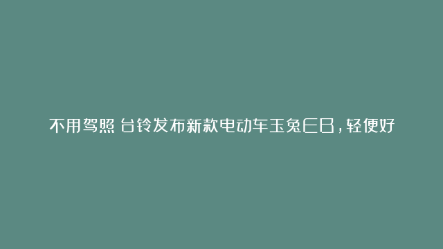 不用驾照！台铃发布新款电动车玉兔EB，轻便好操控，续航100公里