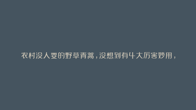 农村没人要的野草青蒿，没想到有4大厉害妙用，很多人不知道