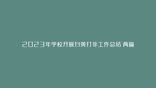 2023年学校开展扫黄打非工作总结（两篇）