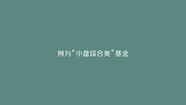 何为“小盘综合类”基金