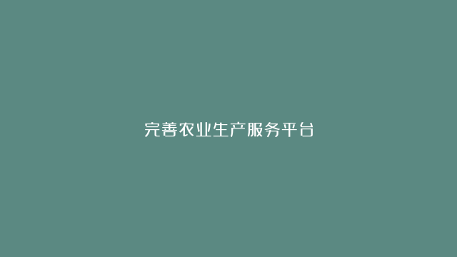 完善农业生产服务平台