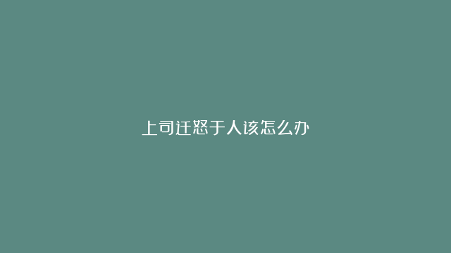 上司迁怒于人该怎么办？