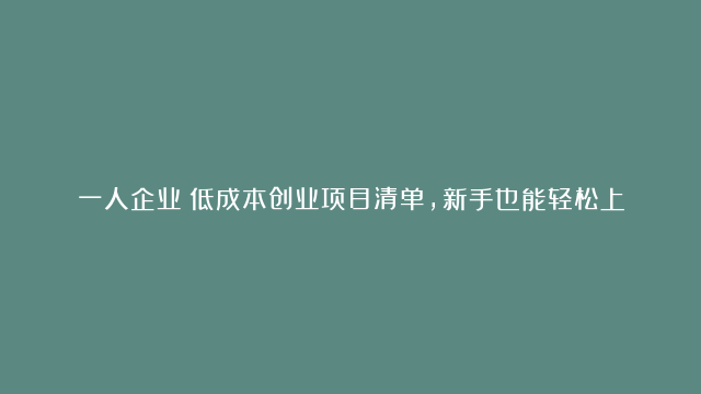 一人企业：低成本创业项目清单，新手也能轻松上手！