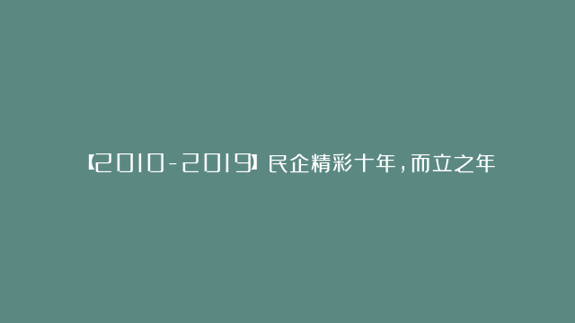 【2010-2019】民企精彩十年，而立之年的奋发，创新不屈的小强