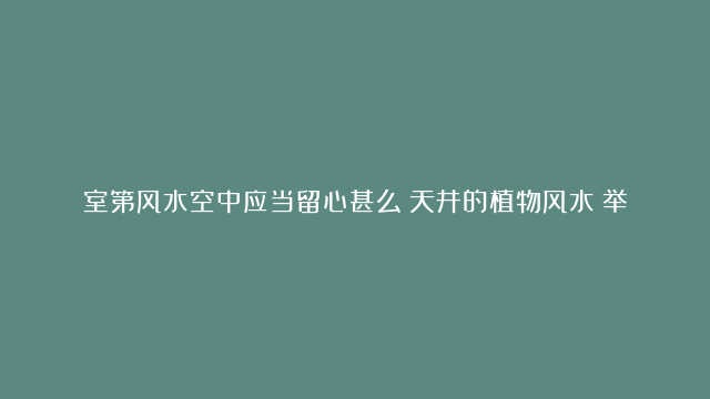 室第风水空中应当留心甚么|天井的植物风水|举荐室第风水化煞Tools哪些最有用