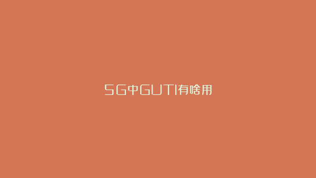 5G中GUTI有啥用？