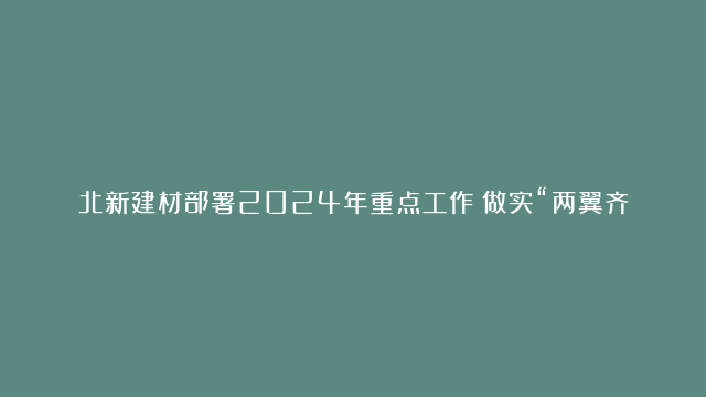 北新建材部署2024年重点工作：做实“两翼齐飞”高质量成长