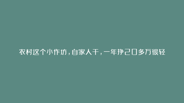 农村这个小作坊，自家人干，一年挣20多万很轻松！