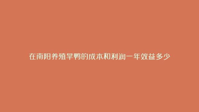 在南阳养殖旱鸭的成本和利润一年效益多少