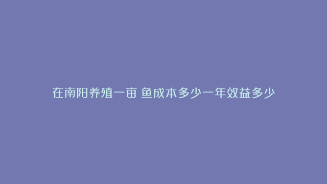 在南阳养殖一亩鲶鱼成本多少一年效益多少