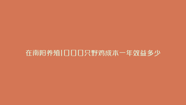 在南阳养殖1000只野鸡成本一年效益多少